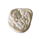 base cerebro